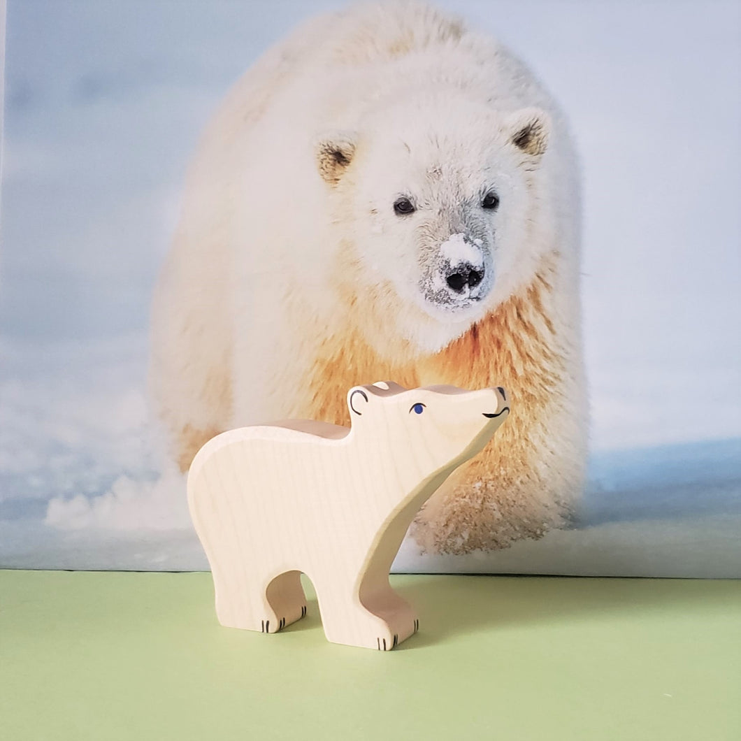 Polar Bear cub